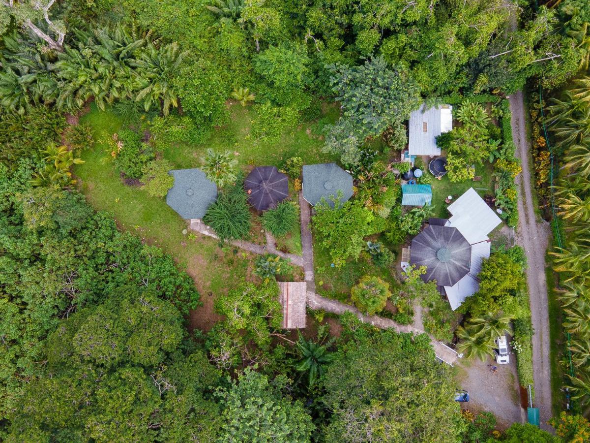 Bungalows Ache Cahuita Zewnętrze zdjęcie
