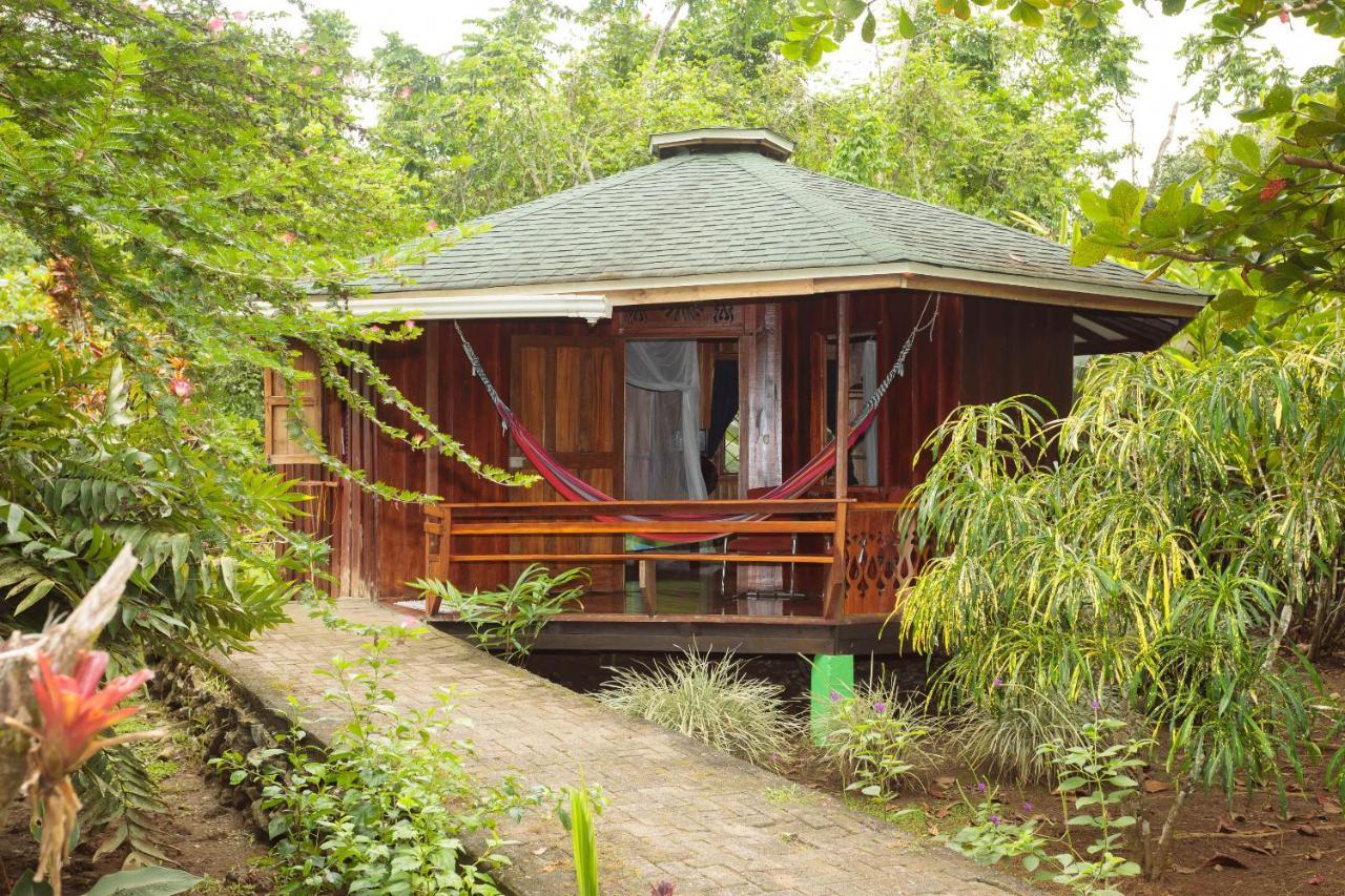 Bungalows Ache Cahuita Zewnętrze zdjęcie