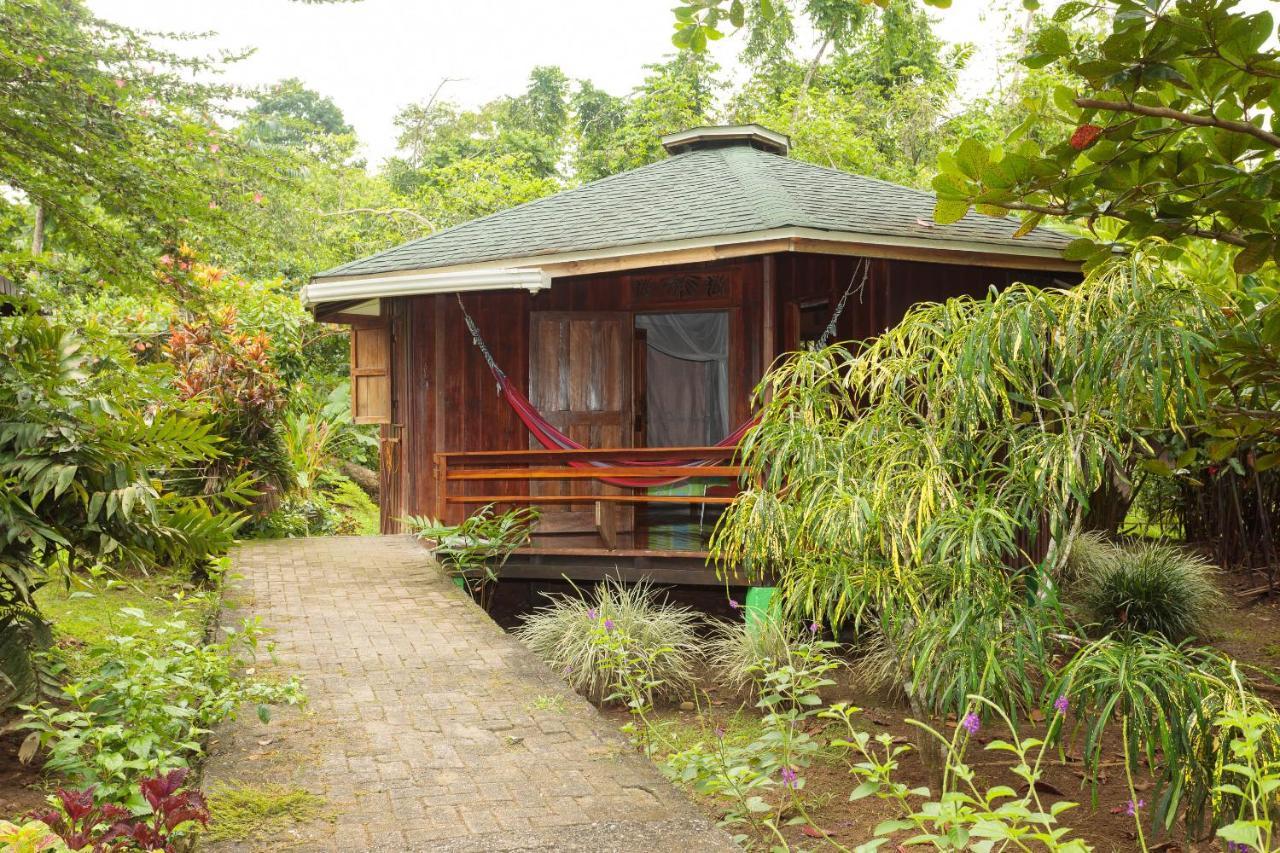 Bungalows Ache Cahuita Zewnętrze zdjęcie