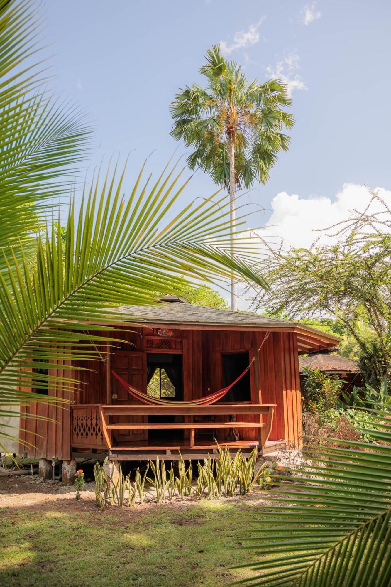 Bungalows Ache Cahuita Zewnętrze zdjęcie